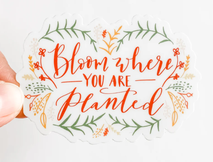 Bloom Where You Are Planted Sticker