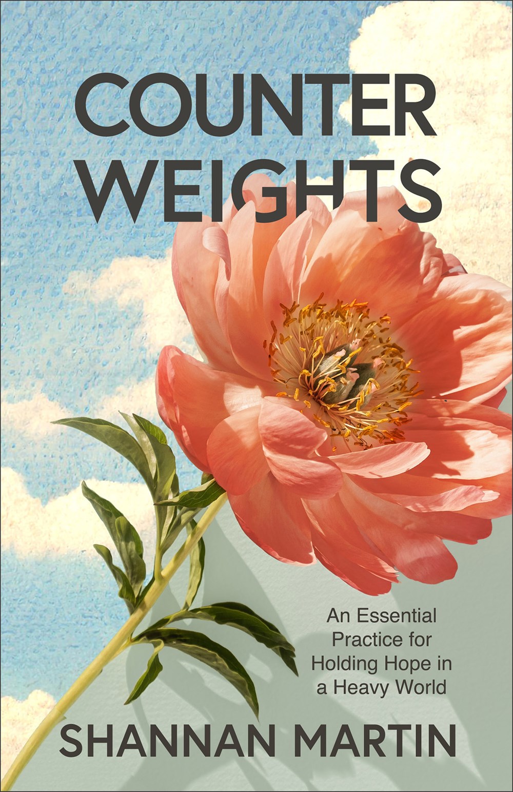 Counterweights: An Essential Practice for Holding Hope in a Heavy World (March 24th, 2026)