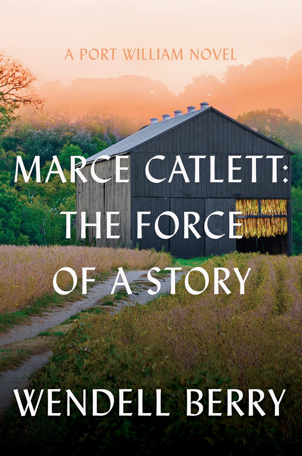 Marce Catlett: The Force of a Story (October 7th, 2025)