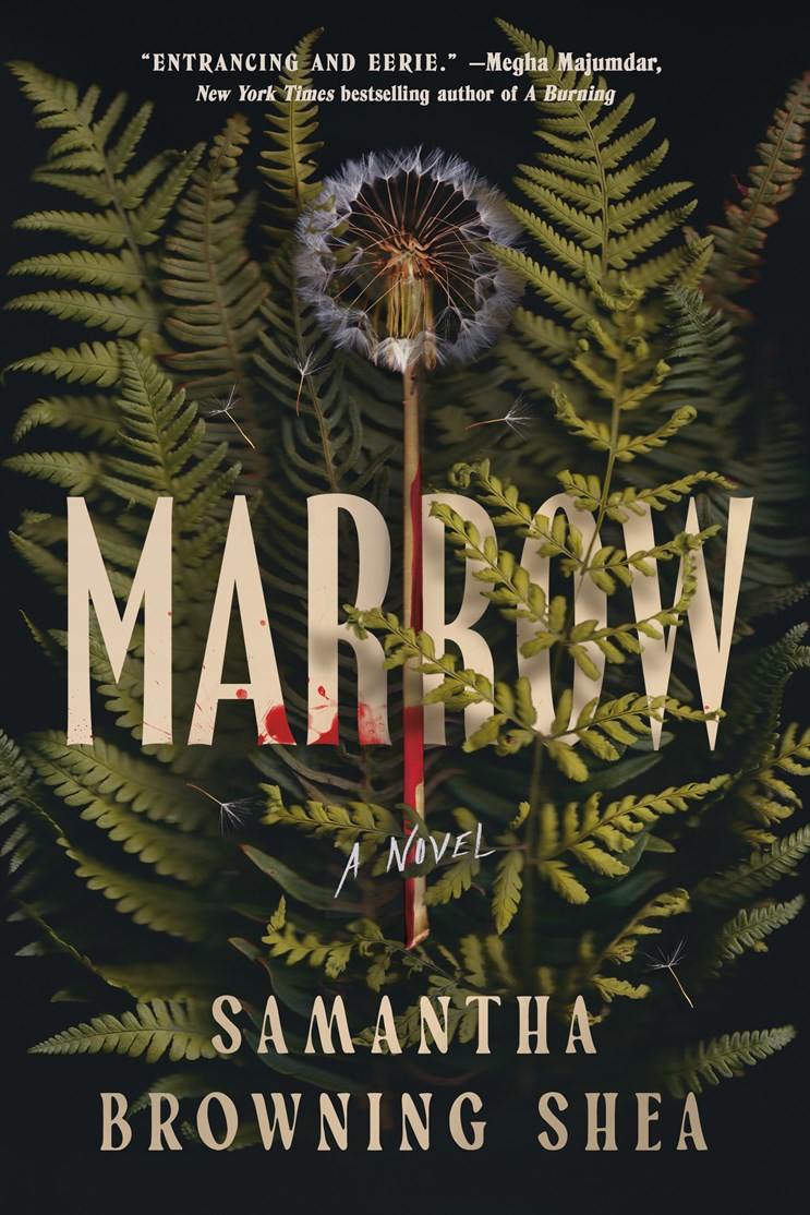Marrow (September 9th, 2025)