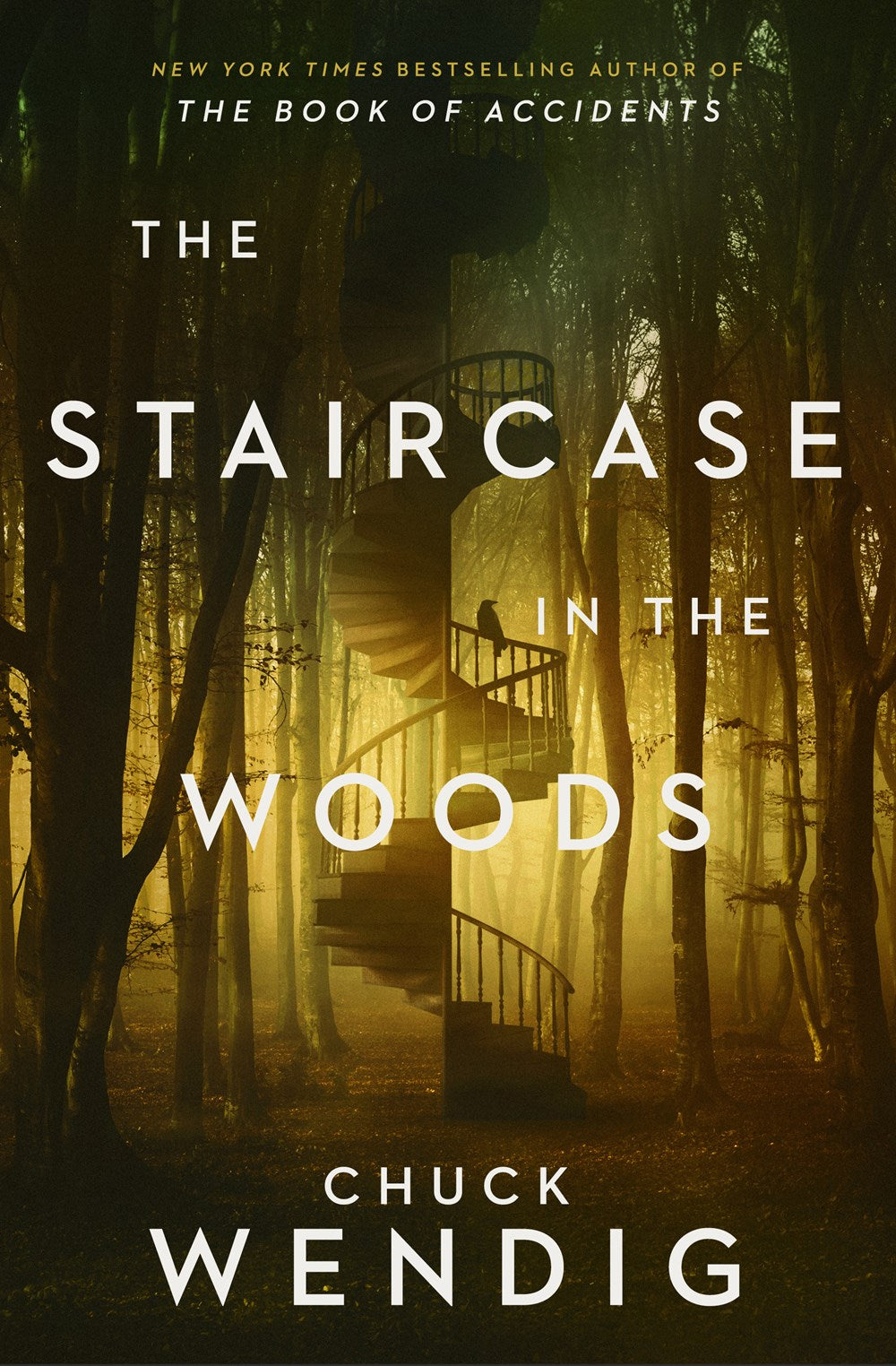 The Staircase in the Woods (April 29th, 2025)