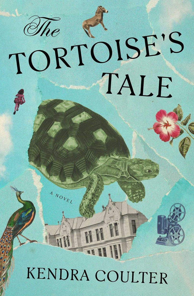 The Tortoise's Tale (November 4th, 2025)