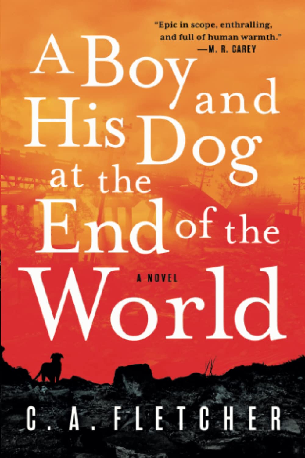 A Boy and His Dog at The End of the World